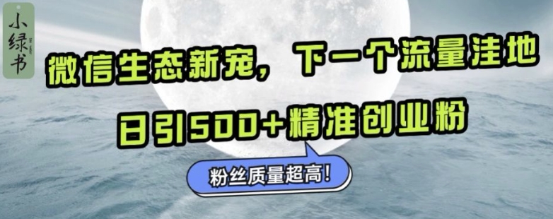 微信生态新宠小绿书：下一个流量洼地，日引500+精准创业粉，粉丝质量超高-天天项目库