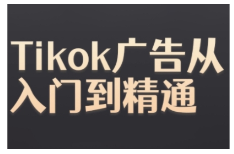 Tiktok Ads实操教程，Tiktok广告从入门到精通-天天项目库