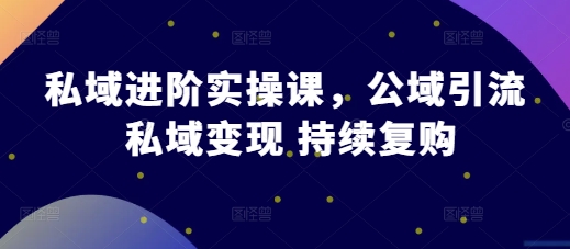 私域进阶实操课，公域引流 私域变现 持续复购-天天项目库