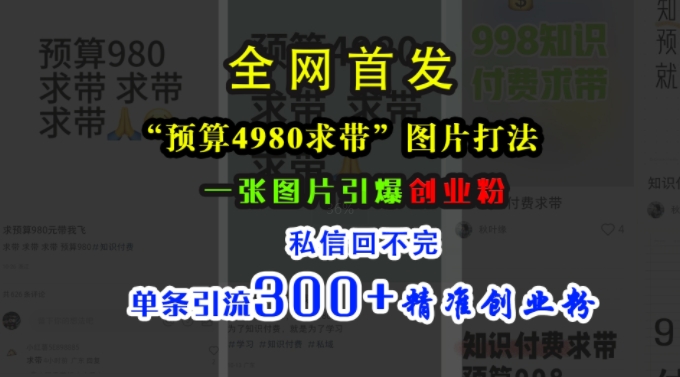 小红书“预算4980带我飞”图片打法，一张图片引爆创业粉，私信回不完，单条引流300+精准创业粉-天天项目库