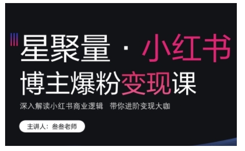 小红书博主爆粉变现课，深入解读小红书商业逻辑，带你进阶变现大咖-天天项目库