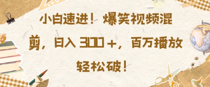 小白速进，爆笑视频混剪，日入3张，百万播放轻松破【揭秘】-天天项目库