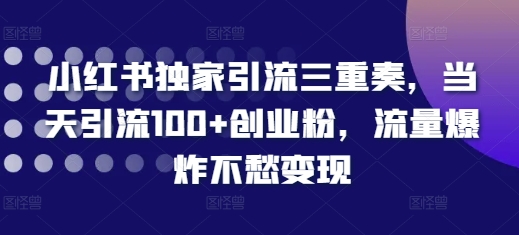 小红书独家引流三重奏，当天引流100+创业粉，流量爆炸不愁变现【揭秘】-天天项目库