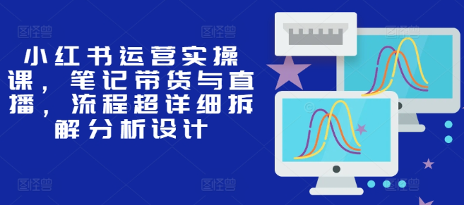 小红书运营实操课，笔记带货与直播，流程超详细拆解分析设计-天天项目库