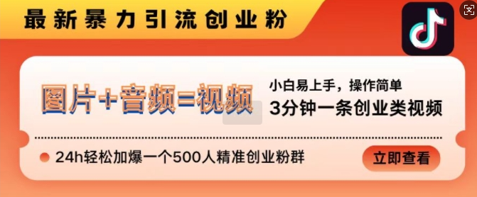 抖音最新暴力引流创业粉，3分钟一条创业类视频，24h轻松加爆一个500人精准创业粉群【揭秘】-天天项目库