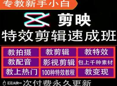 剪映特效教程和运营变现教程，特效剪辑速成班，专教新手小白-天天项目库