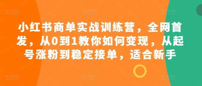 小红书商单实战训练营，全网首发，从0到1教你如何变现，从起号涨粉到稳定接单，适合新手-天天项目库