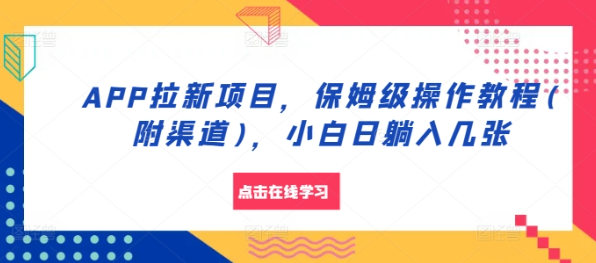 APP拉新项目，保姆级操作教程(附渠道)，小白日躺入几张【揭秘】-天天项目库