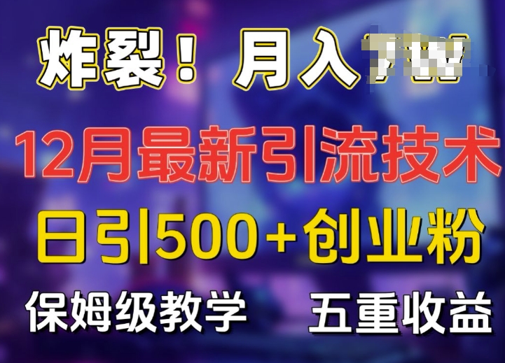 炸裂!揭秘12月最新日引流500+精准创业粉，多重收益保姆级教学-天天项目库