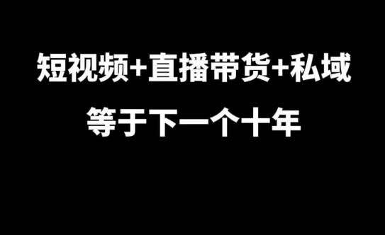 短视频+直播带货+私域等于下一个十年，大佬7年实战经验总结-天天项目库