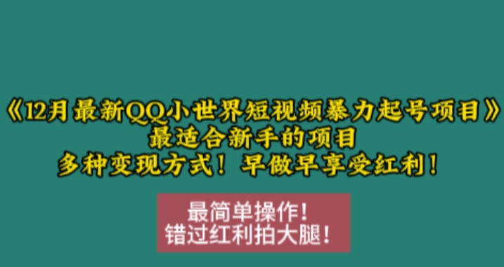 12月最新QQ小世界短视频暴力起号项目，最适合新手的项目，多种变现方式-天天项目库