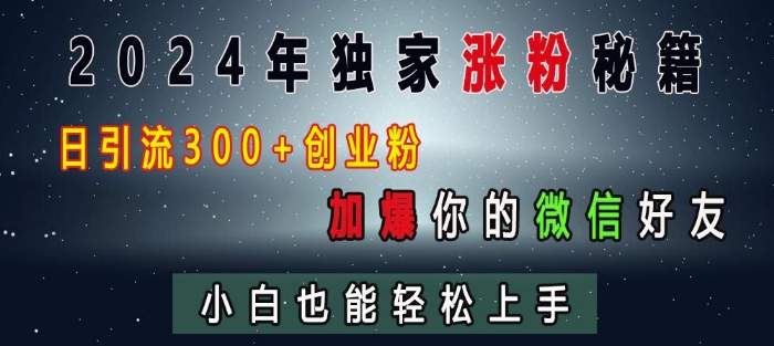 2024年独家涨粉秘籍，日引流300+创业粉，加爆你的微信好友，小白也能轻松上手-天天项目库