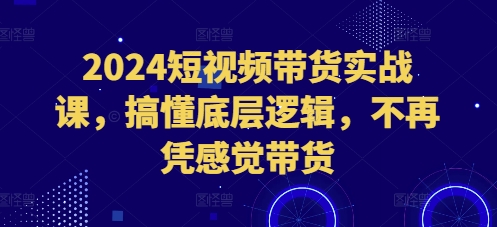 2024短视频带货实战课，搞懂底层逻辑，不再凭感觉带货-天天项目库