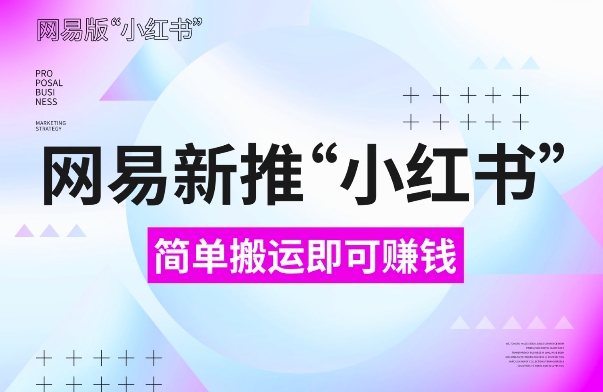 网易官方新推“小红书”，搬运即有收益，新手小白千万别错过(附详细教程)【揭秘】-天天项目库