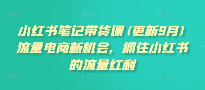 小红书笔记带货课(更新12月)流量电商新机会，抓住小红书的流量红利-天天项目库