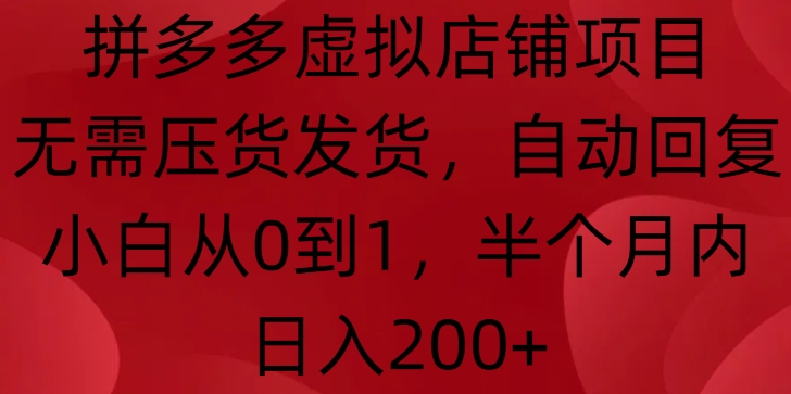 拼多多虚拟店铺项目，无需压货发货，自动回复，小白从0到1，半个月内日入200+【揭秘】-天天项目库