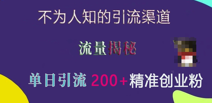 不为人知的引流渠道，流量揭秘，实测单日引流200+精准创业粉【揭秘】-天天项目库