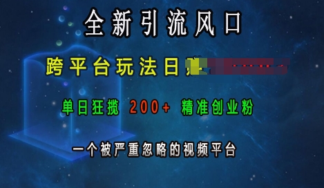 全新引流风口，跨平台玩法日入上k，单日狂揽200+精准创业粉，一个被严重忽略的视频平台-天天项目库