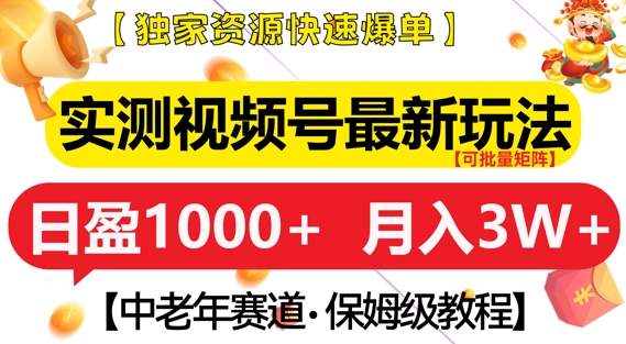 实测视频号最新玩法，中老年赛道，独家资源，月入过W+【揭秘】-天天项目库