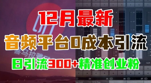 12月最新：音频平台0成本引流，日引流300+精准创业粉-天天项目库