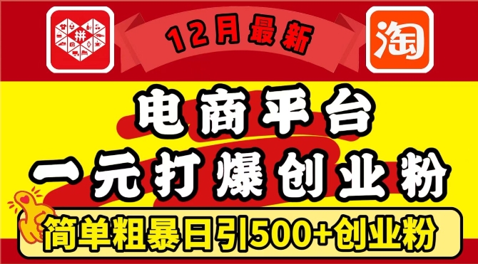 12月最新：电商平台1元打爆创业粉，简单粗暴日引500+精准创业粉，轻松月入过W【揭秘】-天天项目库