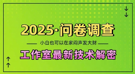 2025问卷调查最新工作室技术解密：一个人在家也可以闷声发大财，小白一天2张，可矩阵放大【揭秘】-天天项目库