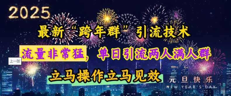 最新“跨年群”引流，流量非常猛，单日引流两人满人群，立马操作立马见效【揭秘】-天天项目库