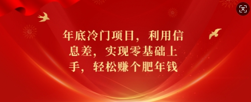 年底冷门项目，利用信息差，实现零基础上手，轻松赚个肥年钱【揭秘】-天天项目库