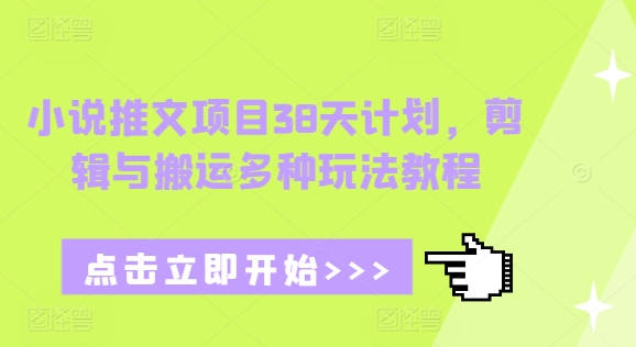 小说推文项目38天计划，剪辑与搬运多种玩法教程-天天项目库