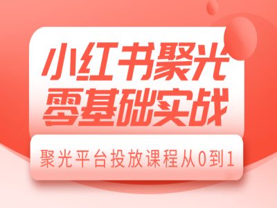 小红书聚光零基础实战，聚光平台投放课程从0到1-天天项目库