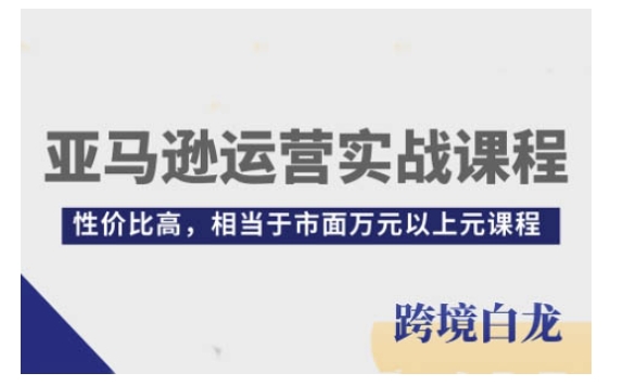 亚马逊运营实战课程，亚马逊从入门到精通，性价比高，相当于市面万元以上元课程-天天项目库