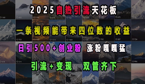 2025自热引流天花板，一条视频能带来四位数的收益，引流+变现双管齐下，日引500+创业粉，涨粉嘎嘎猛-天天项目库