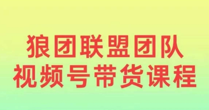 狼团联盟2024视频号带货，0基础小白快速入局视频号-天天项目库