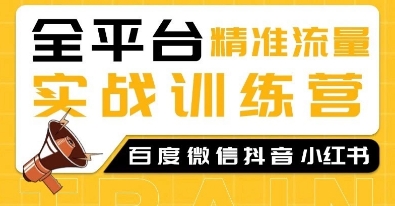 全平台精准流量实战训练营，百度微信抖音小红书SEO引流教程-天天项目库