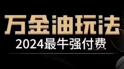 2024最牛强付费，万金油强付费玩法，干货满满，全程实操起飞（更新12月）-天天项目库