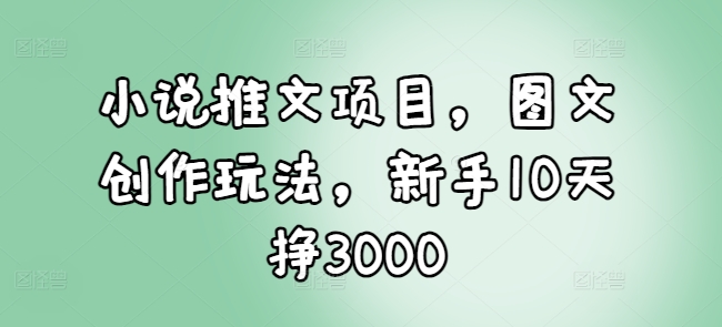 小说推文项目，图文创作玩法，新手10天挣3000-天天项目库