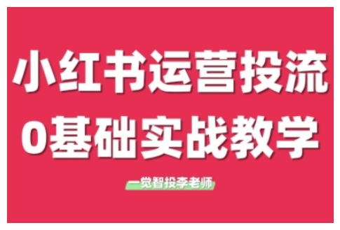 小红书运营投流，小红书广告投放从0到1的实战课，学完即可开始投放-天天项目库