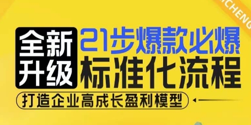 21步爆款必爆标准化流程，全新升级，打造企业高成长盈利模型-天天项目库