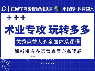 术业专攻玩转多多，优秀运营人的全面体系课程，解析拼多多运营底层必备逻辑-天天项目库