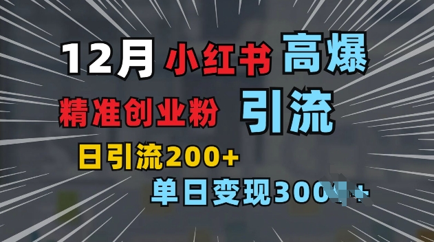 小红书一张图片“引爆”创业粉，单日+200+精准创业粉 可筛选付费意识创业粉【揭秘】-天天项目库