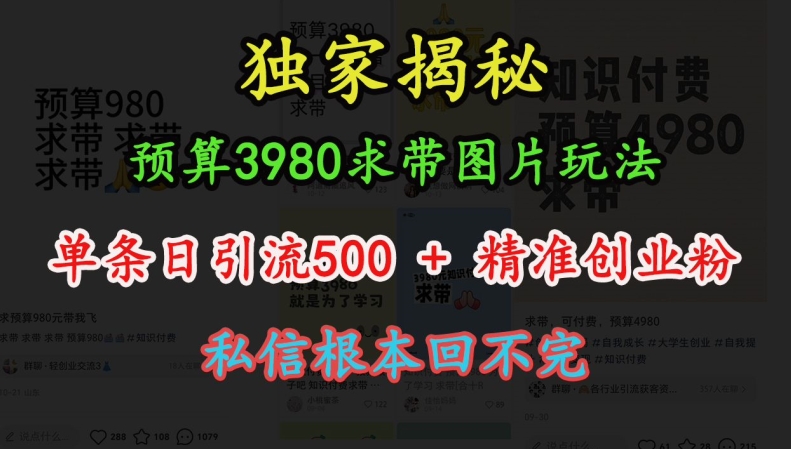 预算3980求带 图片玩法，单条日引流500+精准创业粉，私信根本回不完-天天项目库