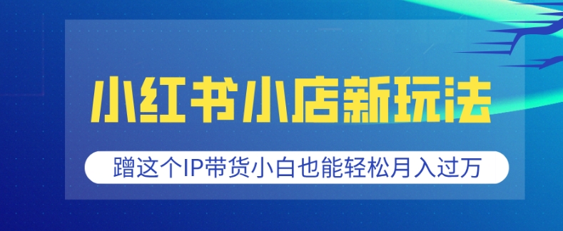 小红书小店新玩法，蹭这个IP带货，小白也能轻松月入过W【揭秘】-天天项目库