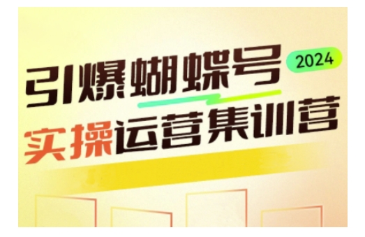 引爆蝴蝶号实操运营，助力你深度掌握蝴蝶号运营，实现高效实操，开启流量变现之路-天天项目库