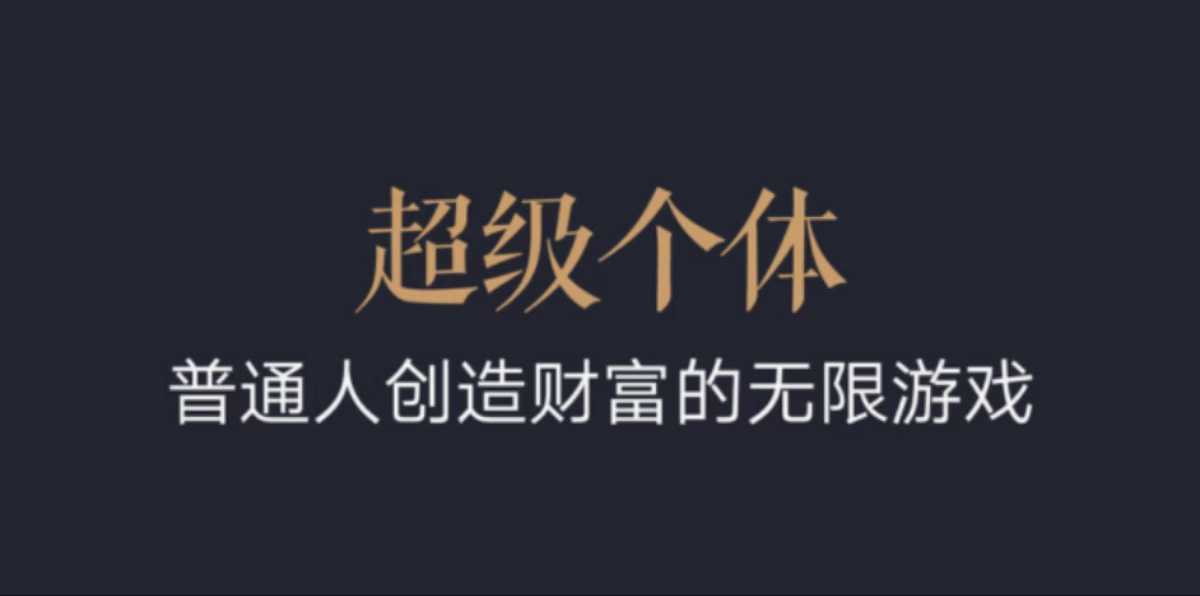 超级个体：2024-2025翻盘指南，普通人创造财富的无限游戏-天天项目库