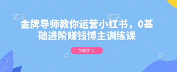 金牌导师教你运营小红书，0基础进阶赚钱博主训练课-天天项目库