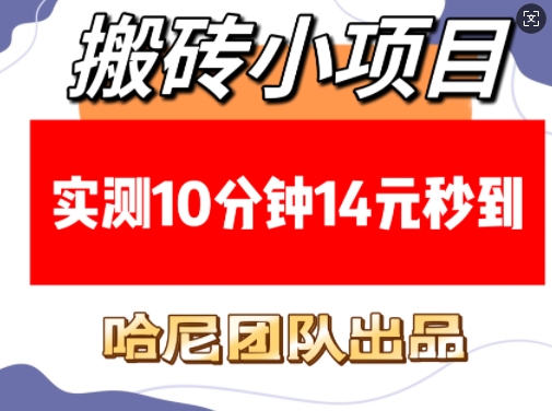 搬砖小项目，实测10分钟14元秒到，每天稳定几张(赠送必看稳定)-天天项目库