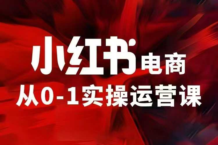 小红书电商运营，97节小红书vip内部课，带你实现小红书赚钱-天天项目库