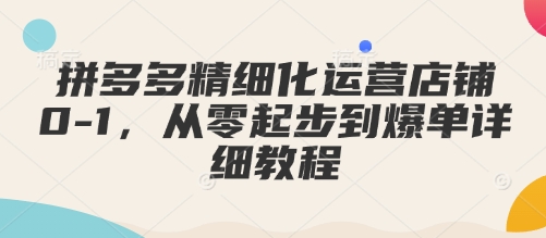 拼多多精细化运营店铺0-1，从零起步到爆单详细教程-天天项目库