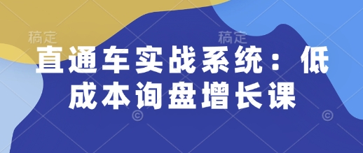 直通车实战系统：低成本询盘增长课，让个人通过技能实现升职加薪，让企业低成本获客，订单源源不断-天天项目库