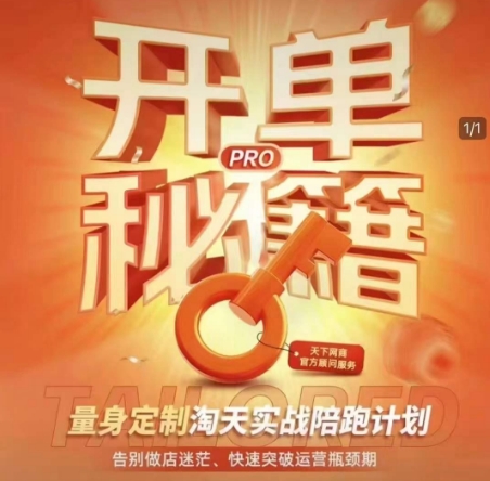 淘宝开单秘籍PRO，量身定制淘天实战陪跑计划，告别做店迷茫、快速突破运营瓶颈期-天天项目库